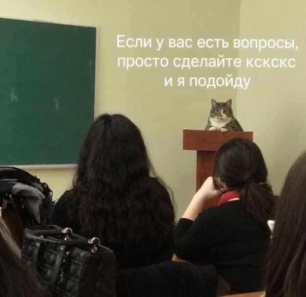 КотЭ)