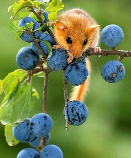 22-15-15-190221206 591226791856834 4459539264328989899 n