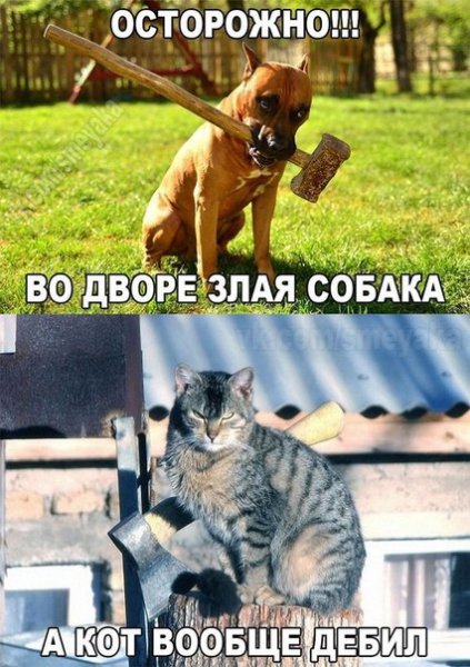 Saved Images S86c00Mr9e8