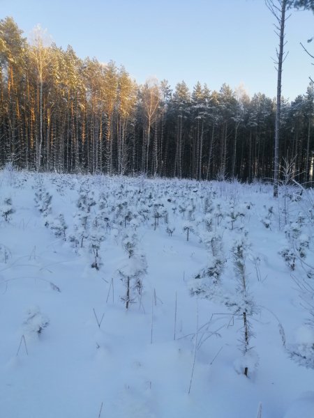 Рыбалка