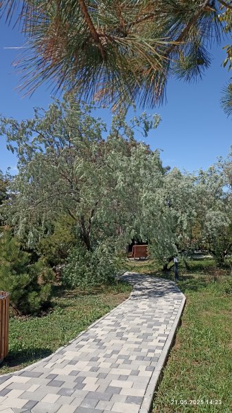 Анапа. Ореховая роща