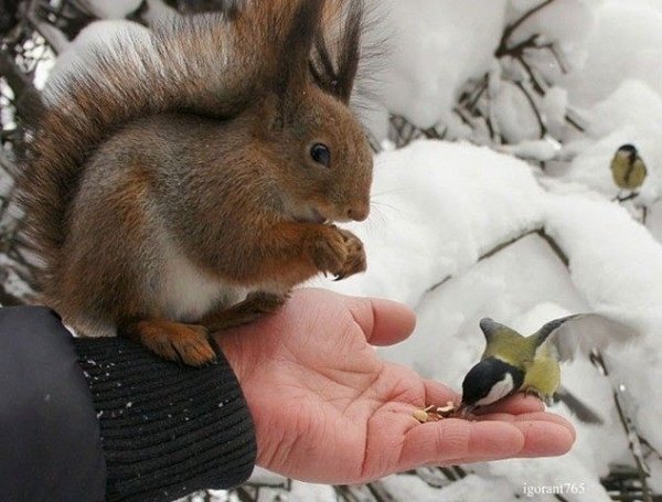 IMG 20170111 133802 9