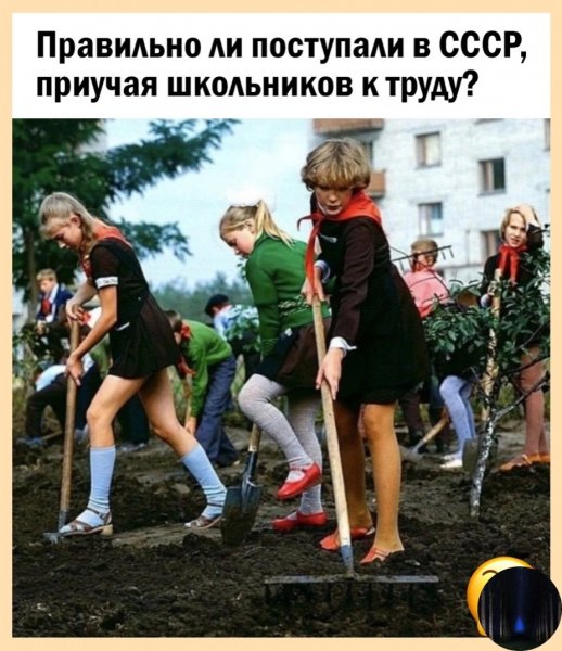 Субботник общ. полезный труд