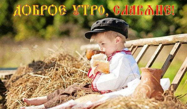e56cdfa445fe4d0181558bf74c584b60