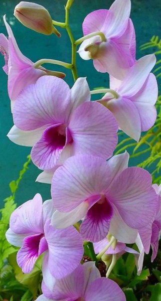 f0a3e35034ebdfdbb33f51219ca75b86