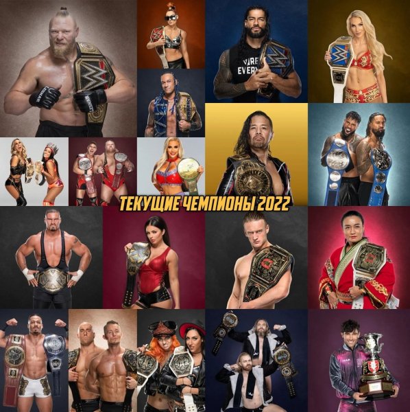 WWE (225)