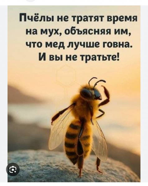 IMG 20260814 153304