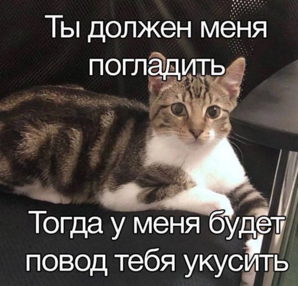 picture_412697367