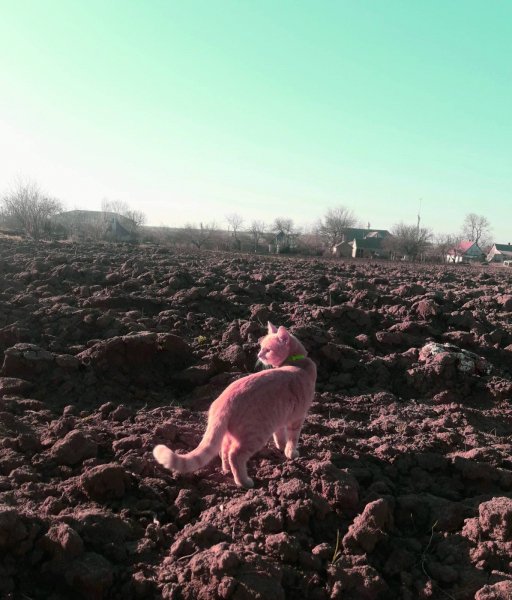 IMG-83a230417fbfc5eed987ac9de4ffeca0-V