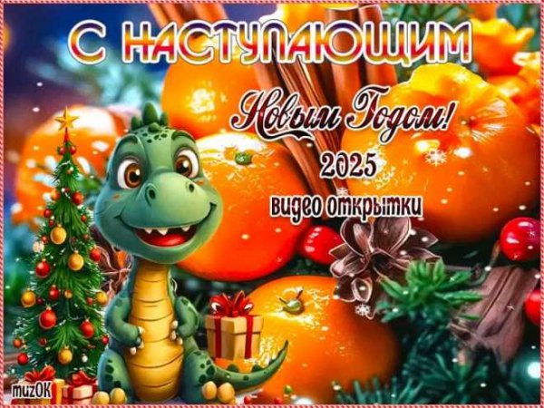 IMG-20241227-WA0009