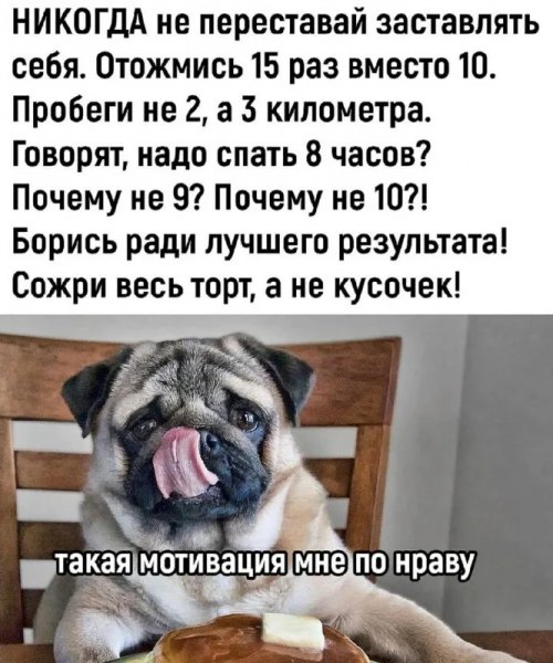 Никогда...