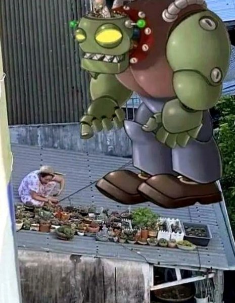 Plants vs zombies