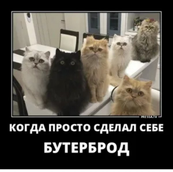 )))))