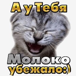 getImage(423)