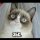 Смайл...)))