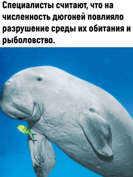 (3)