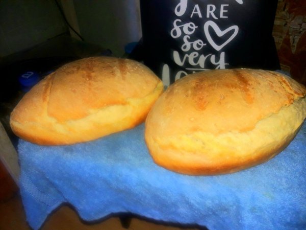 IMG 20251103 115238 542