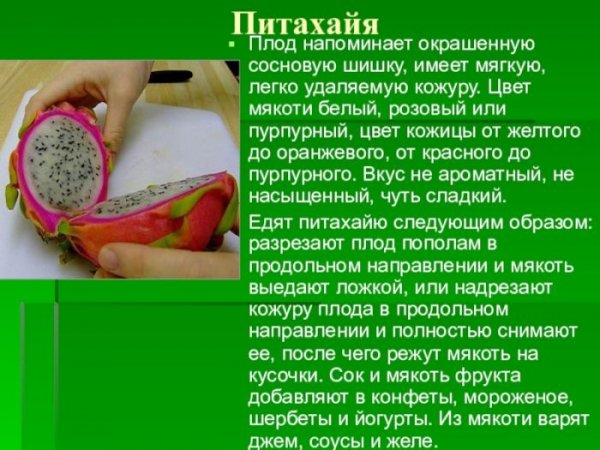 Питахайя