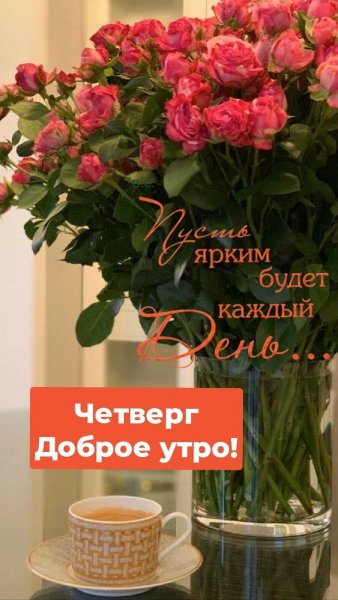 IMG 20220210 132029