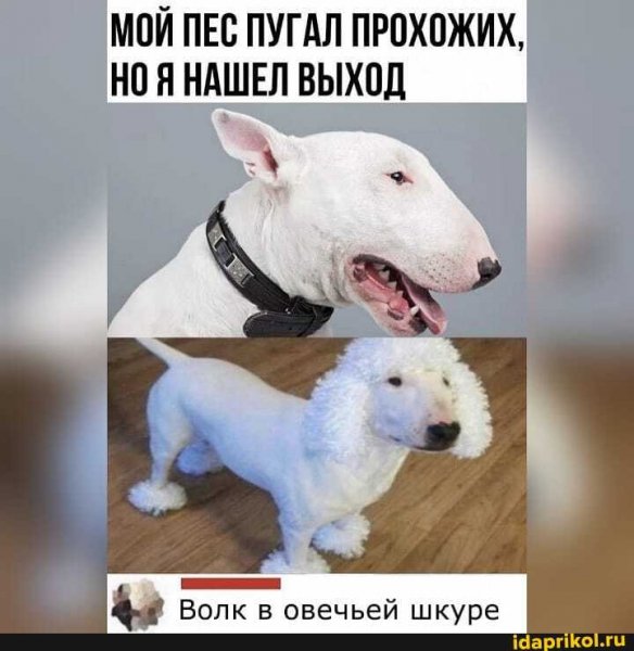 a6e01d042b408250ab57358b4ca2a38bd06097bdd9fb5636f6815efc74