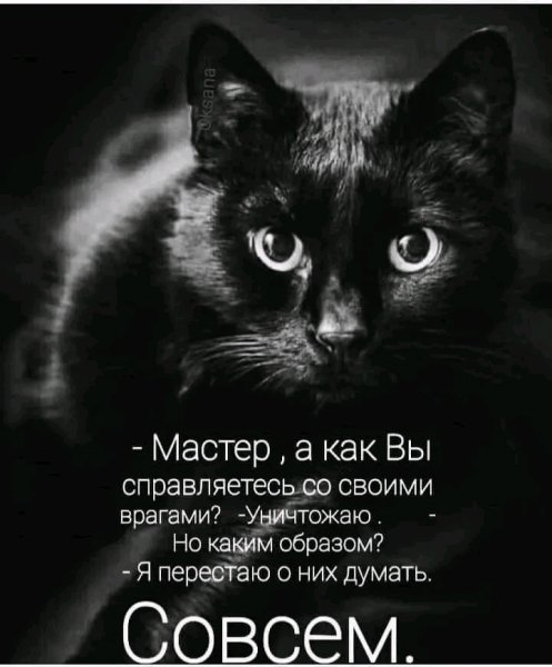FB IMG 17031048020182955