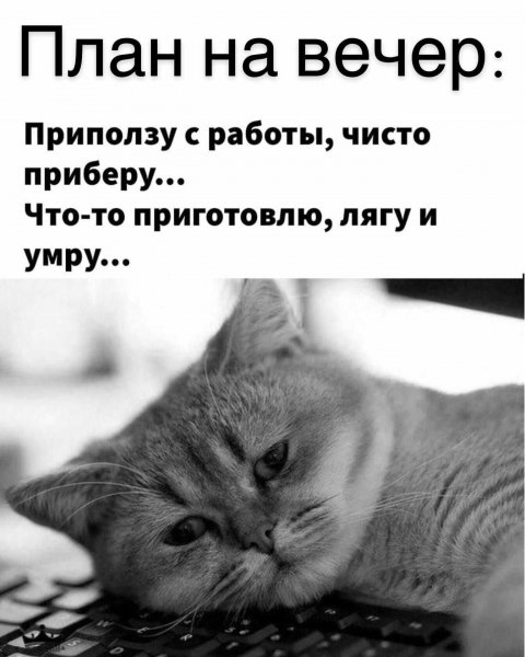 Лягу и умру ...