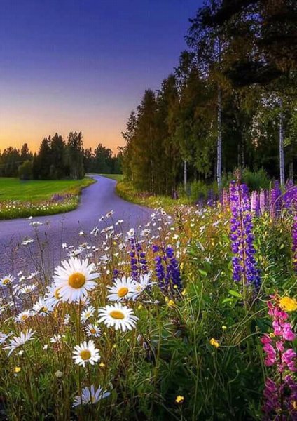 FB IMG 15230348632676902