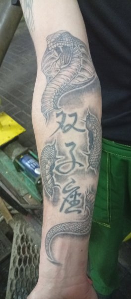 picture_384446424