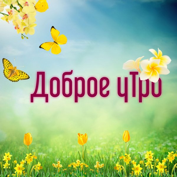 Доброе утро