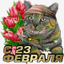 picture_161581495