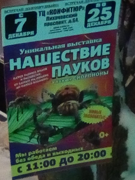 IMG 20231214 174353