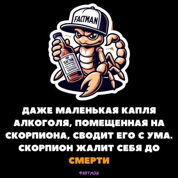 IMG 20241231 035358 856