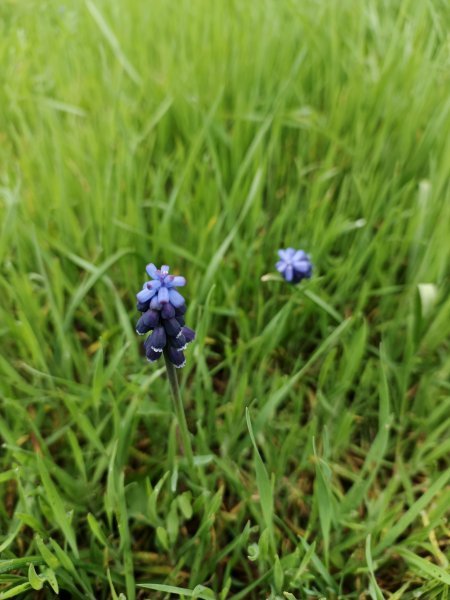 picture_386559976