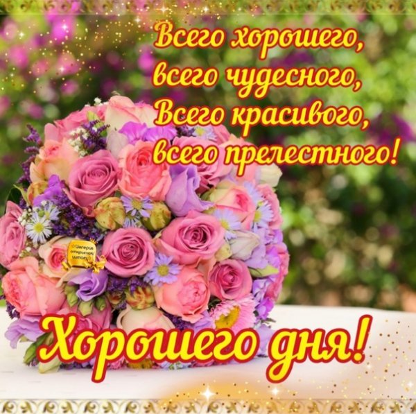 Друзья!