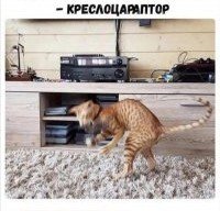Saved Images 103146644 f 201 200 0