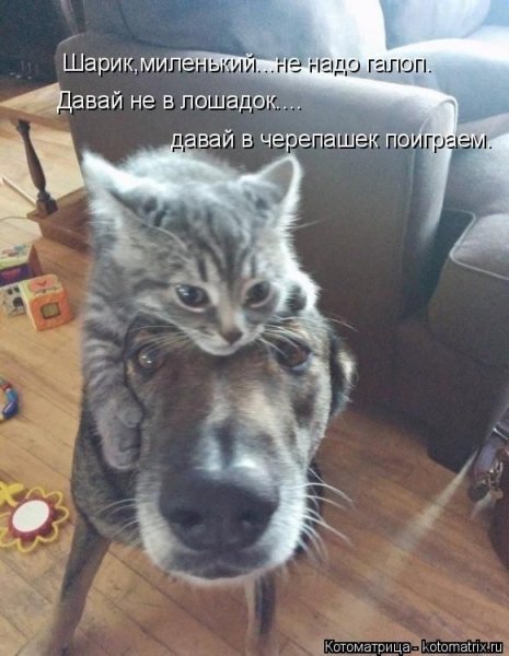 a349235037649d66383be32fb2e6