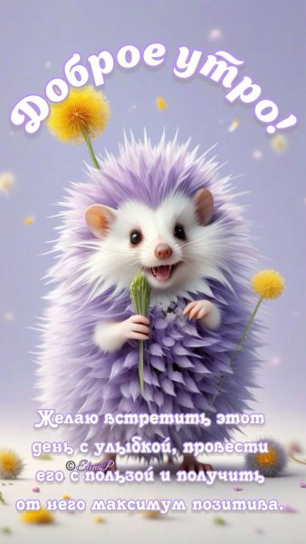 cdd85063417405625d745224acfc6