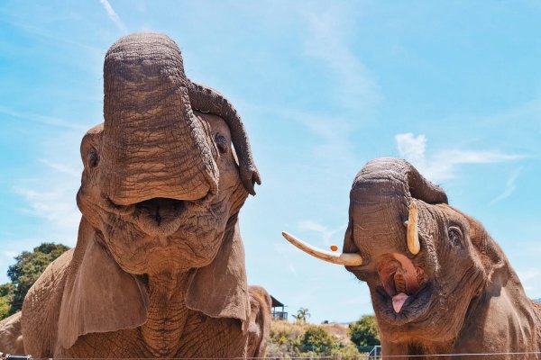 Podborka-prikolnyx-kartinok-36