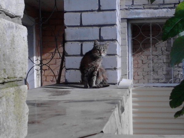 IMG 20150823 170050