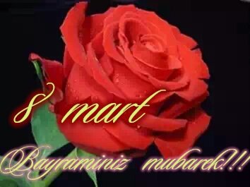 8 mart