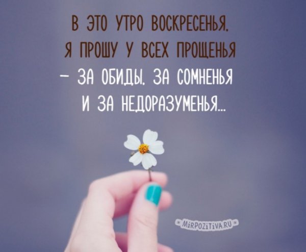 IMG-20200301-WA0012