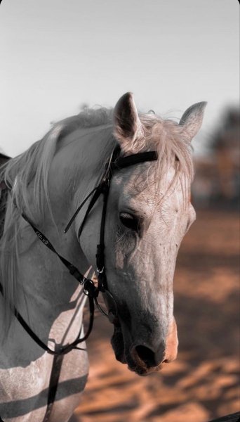 6f163e5f75cc82148c7296f2771bdea0