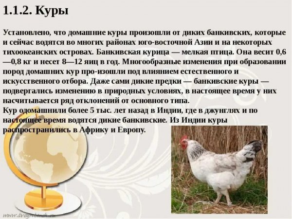 Это интересно