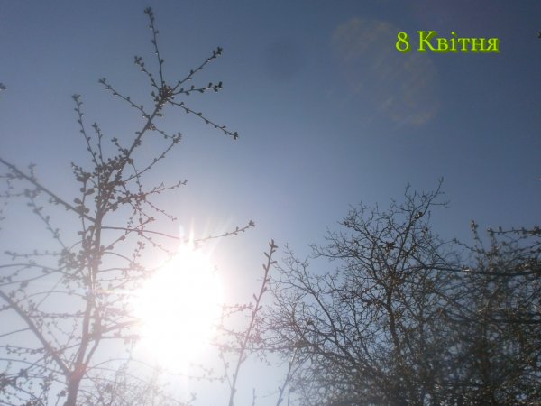 8 Квітня