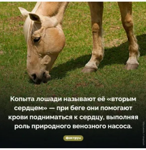 Это интересно