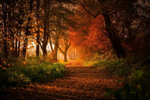 Fb35873696cbd0a3bdc30154eef695a6