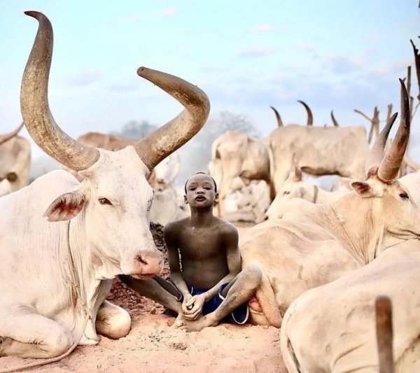 98e0541d8c8fca82b302659c91d069d8