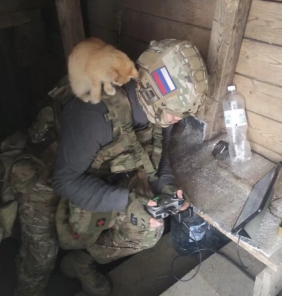 Контролирует работу