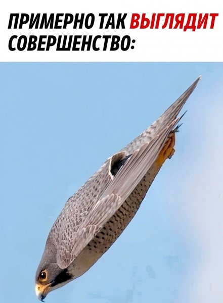 IMG-4bbef169c7e9e931dec7d8ff839661b3-V