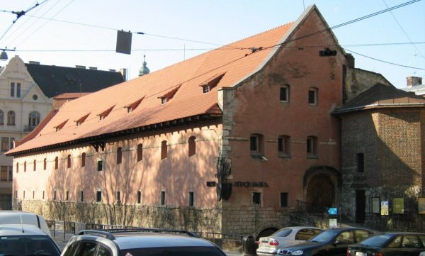 IMG 0008-crop